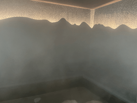 スチームサウナ